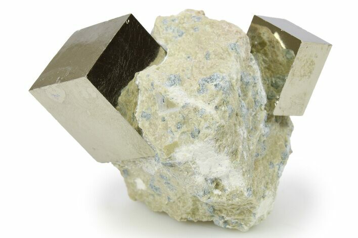 Two Natural Pyrite Cubes In Rock - Navajun, Spain #265307